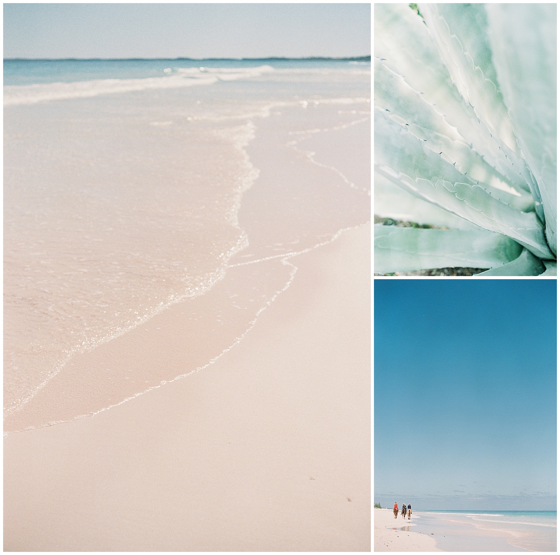 Pink Sand Beach - Eleuthera & Harbour Island Destination Wedding Photographer at Harbor Island, Bahamas